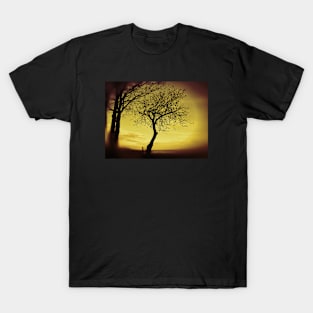 Morning Tree Silhouette. T-Shirt